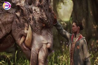 میراث هوگوارتز