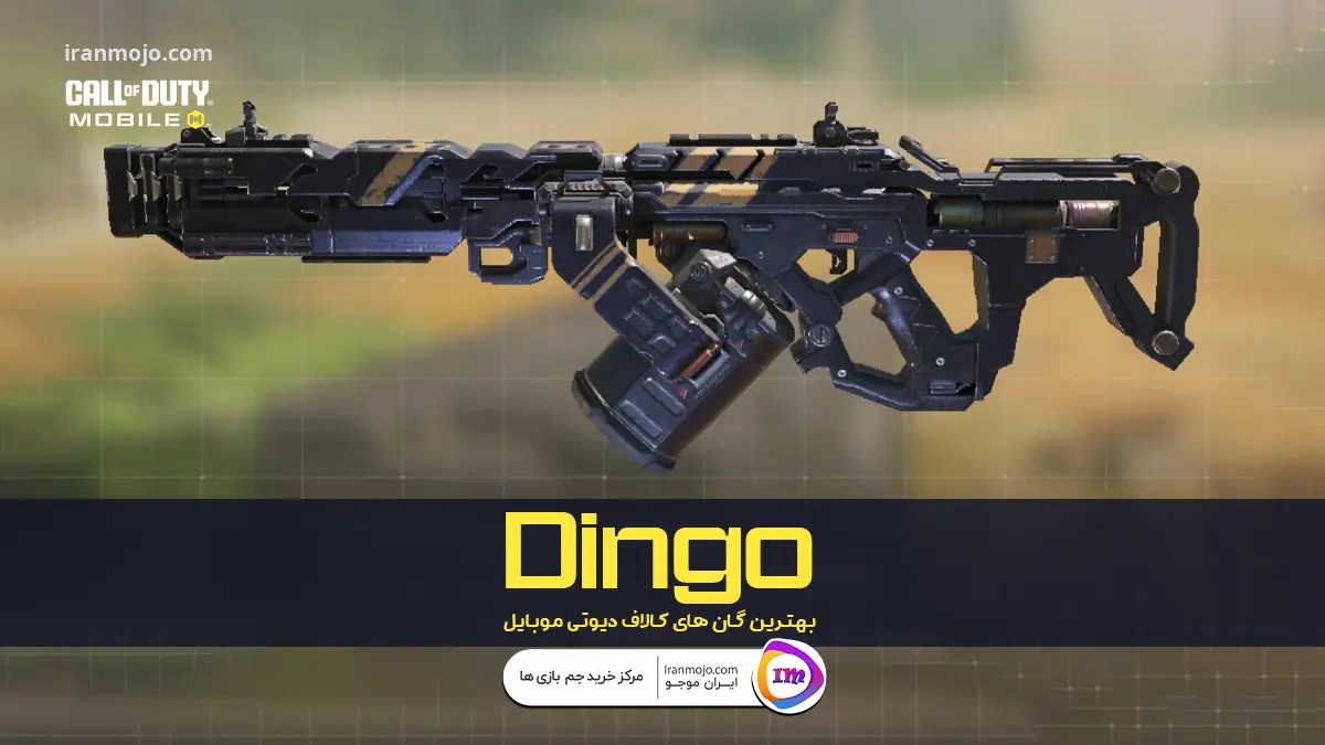 گان Dingo