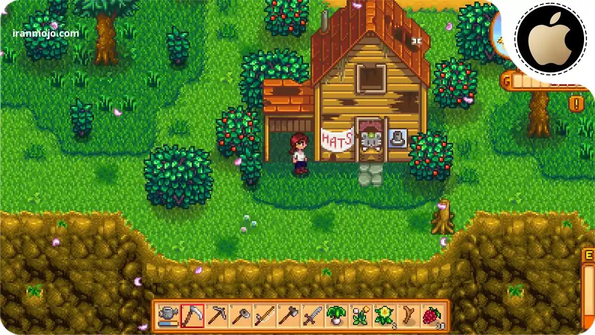 زندگی آرام در مزرعه‌ای رویایی: Stardew Valley