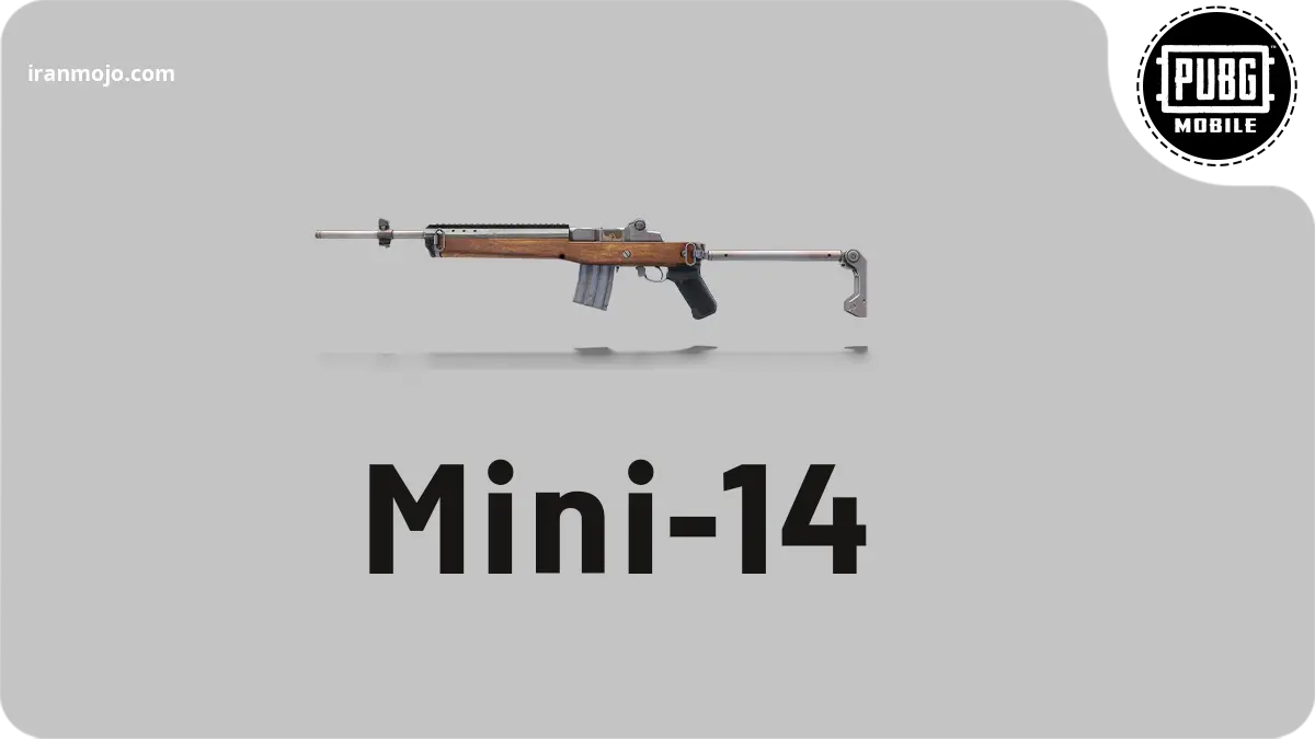 رایفل نشانه زن Mini-14